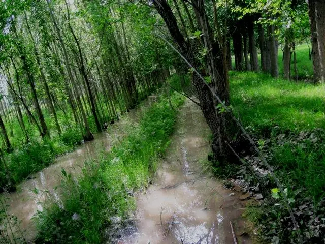 Burhan Çöllü Camping Area — Iğdır — küçük resim 4