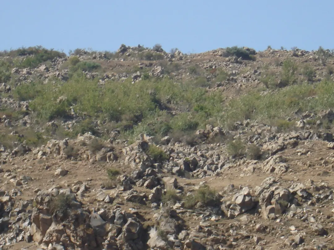 Şahmaran camping — Iğdır — küçük resim 2