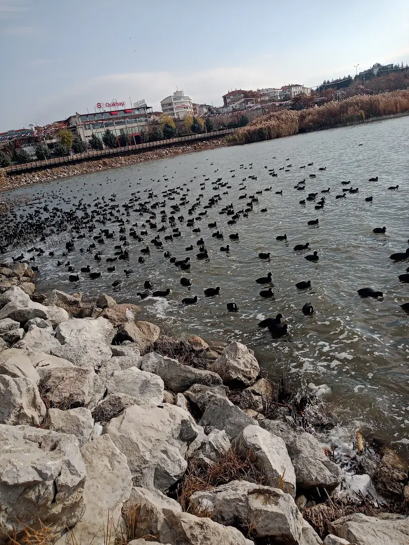 Ankara Gölbaşı Uçhisar Evleri — Ankara — küçük resim 8