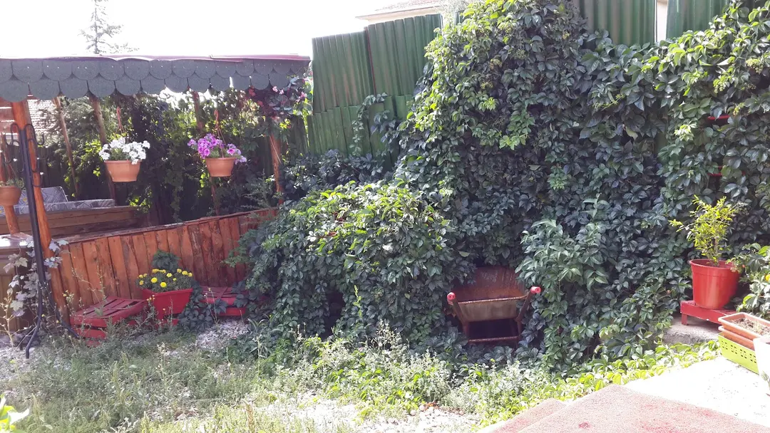 casa di campagna Eylül — Ankara — küçük resim 7