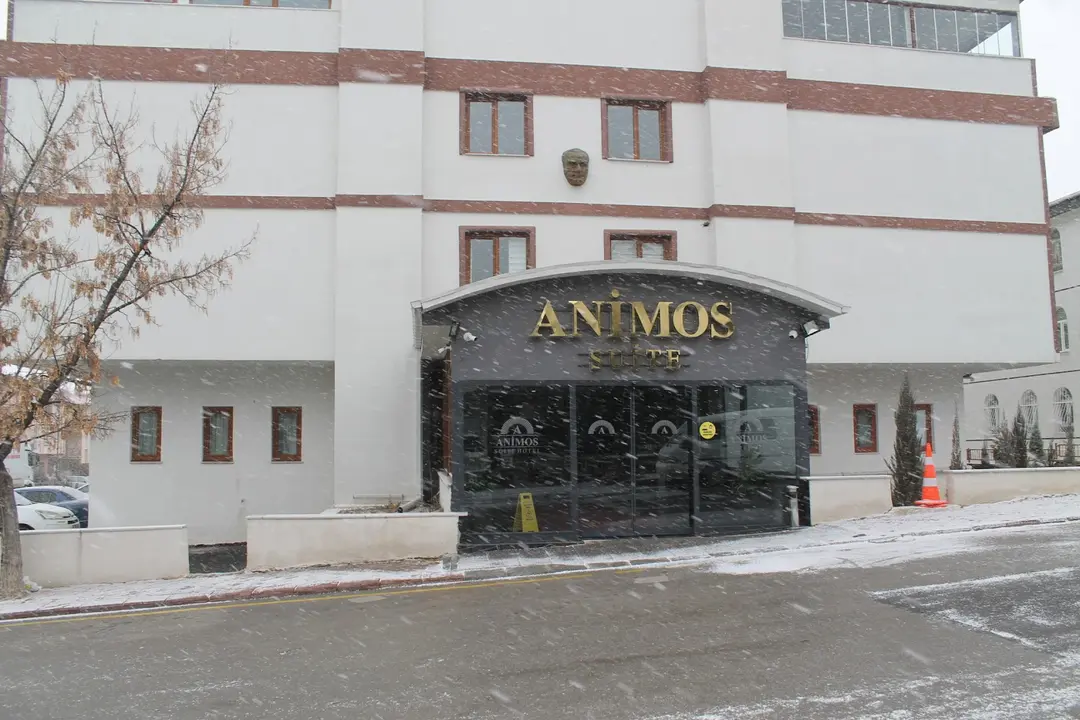 Animos Butik Hotel — Ankara — küçük resim 3