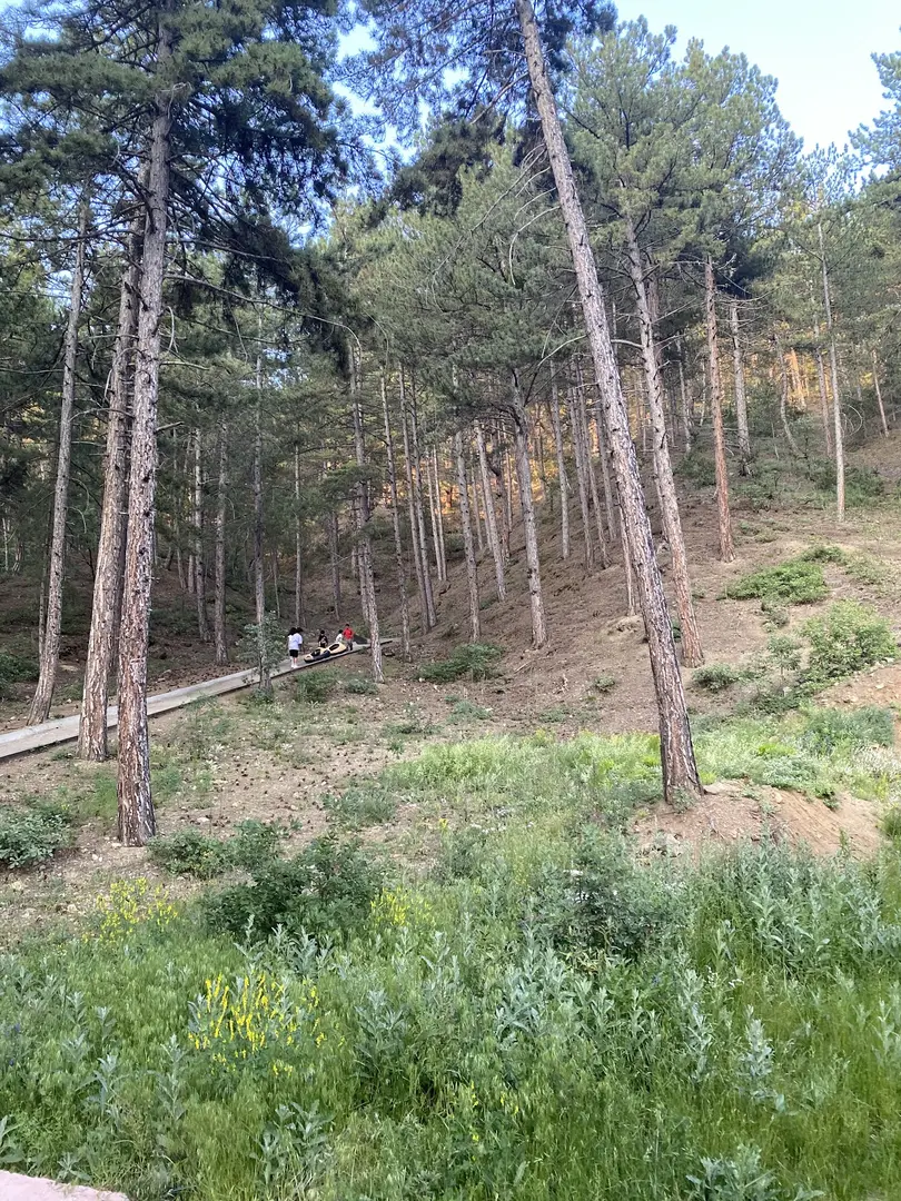 Bülbül Pınarı Mesire Alanı — Çankırı — küçük resim 3