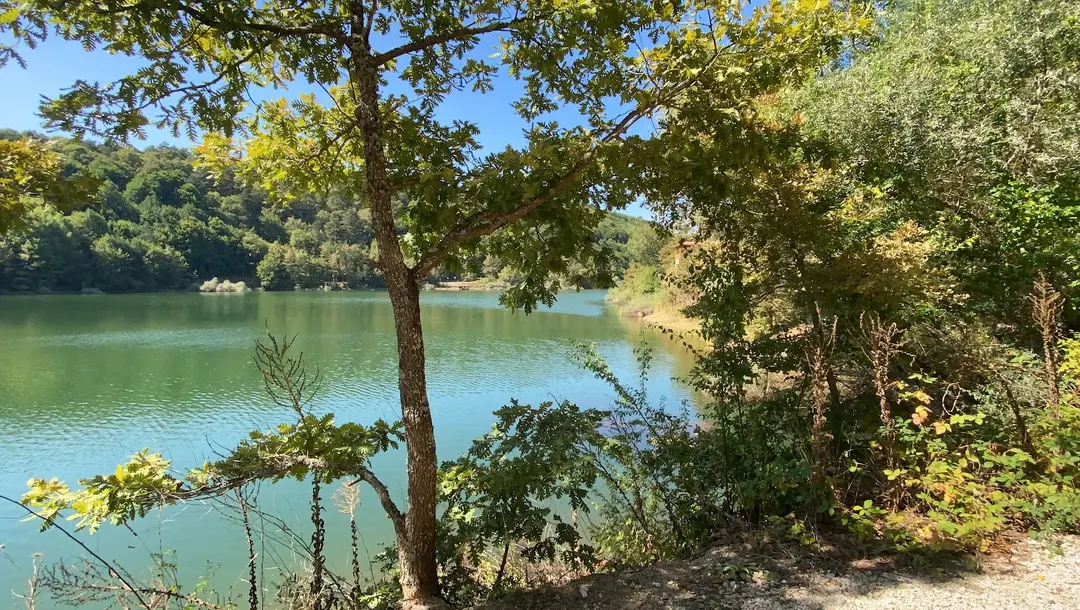 Küçükelmalı Tabiat parkı