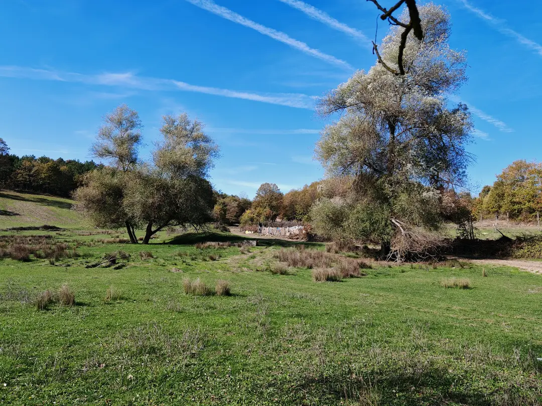 Sürükley Camping and Hiking Area — Bilecik — küçük resim 10