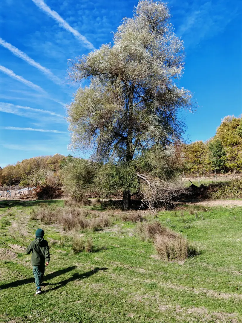 Sürükley Camping and Hiking Area — Bilecik — küçük resim 6