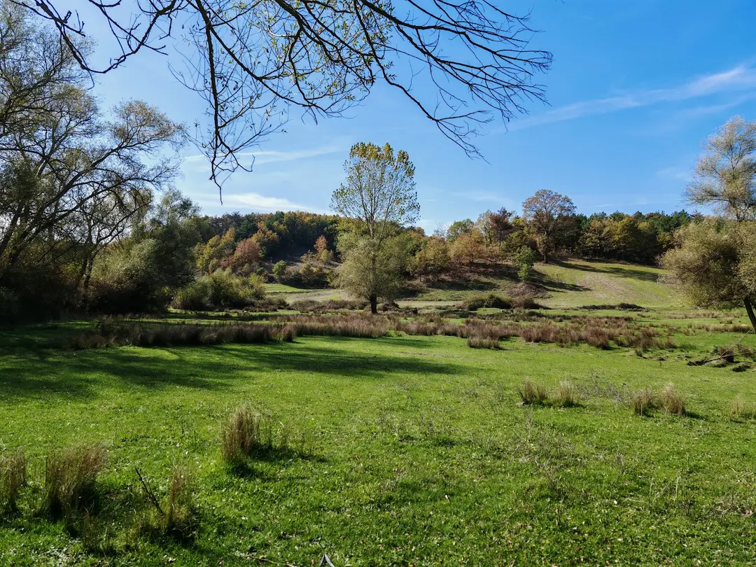 Sürükley Camping and Hiking Area — Bilecik — küçük resim 9