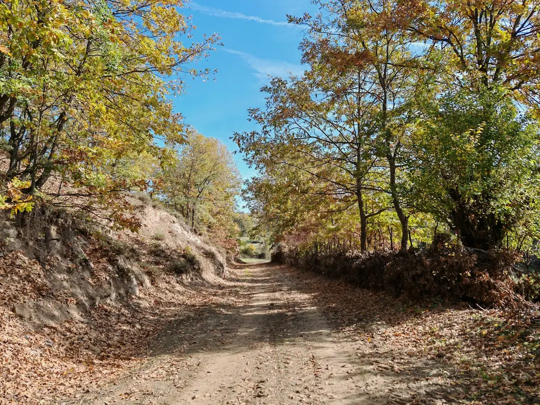 Sürükley Camping and Hiking Area — Bilecik — küçük resim 2