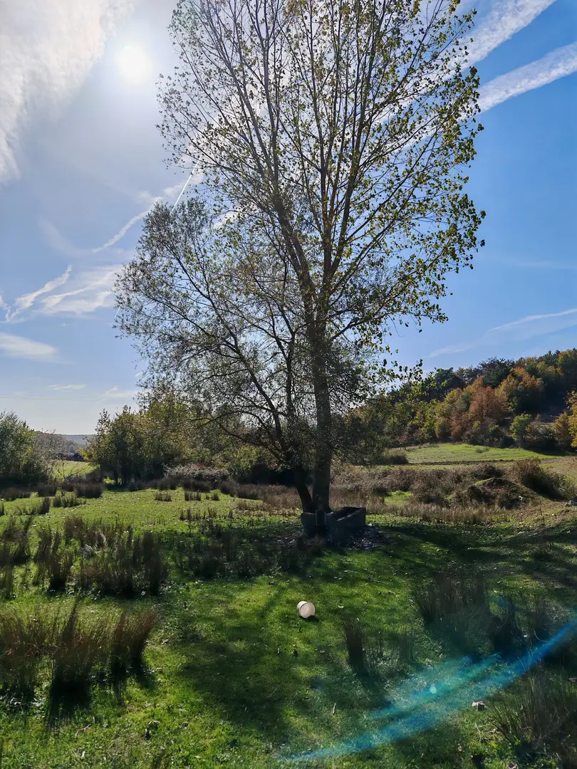 Sürükley Camping and Hiking Area — Bilecik — küçük resim 3