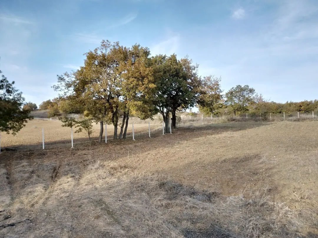 Tepe Camp and Nature Living Area — Bilecik — küçük resim 3