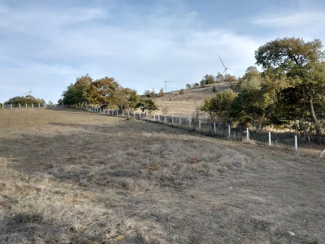 Tepe Camp and Nature Living Area — Bilecik — küçük resim 5