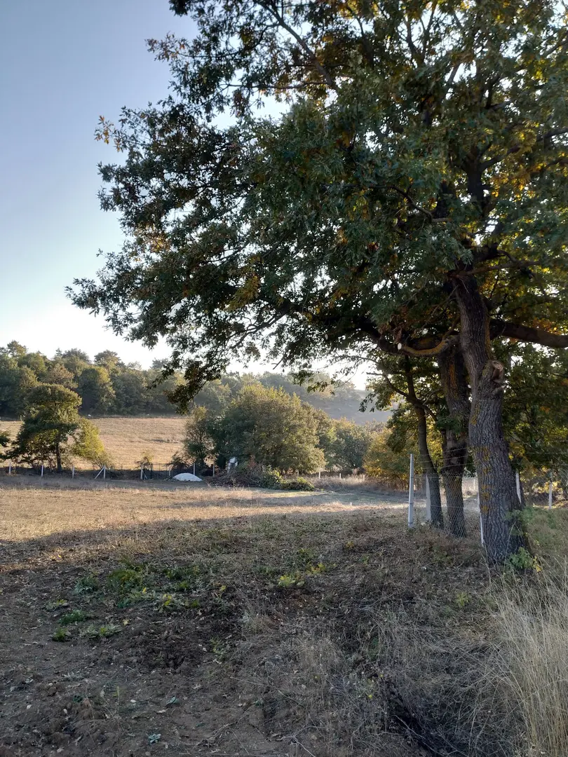 Tepe Camp and Nature Living Area — Bilecik — küçük resim 2