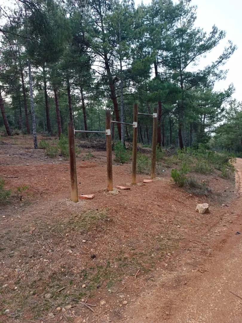 Atatürk Forest Picnic Area — Bilecik — küçük resim 2