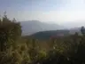 Atatürk Ormanı Piknik Alanı