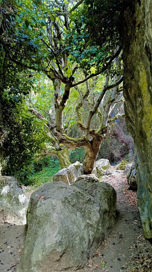 Kinik Waterfall — Bilecik — küçük resim 4