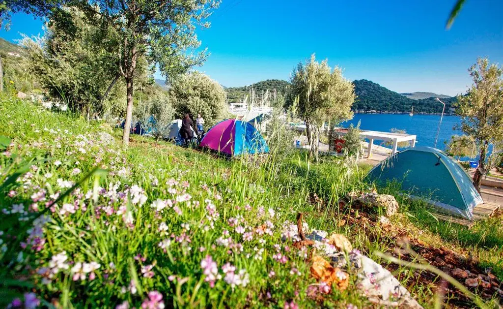 Kaş Evren Camping — Antalya — küçük resim 8