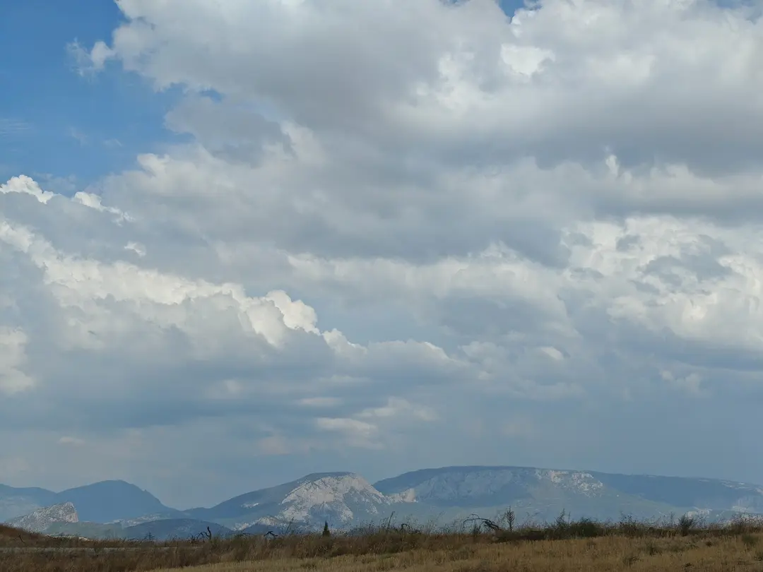 Polis Mindeskov — Bilecik — küçük resim 10