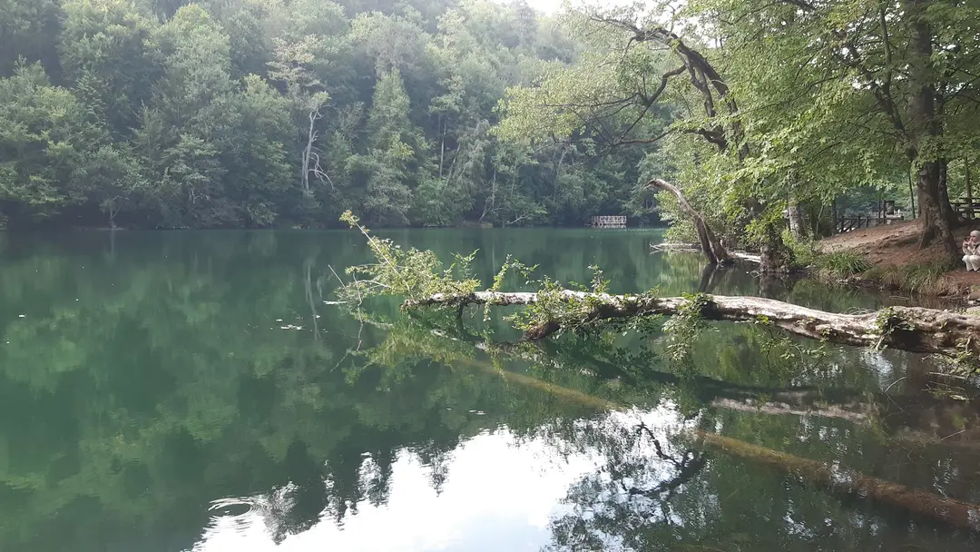 Yedigöller Bungalov Evleri — Bolu — küçük resim 8
