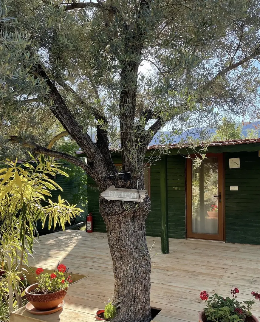 My Bungalov — Muğla — küçük resim 9
