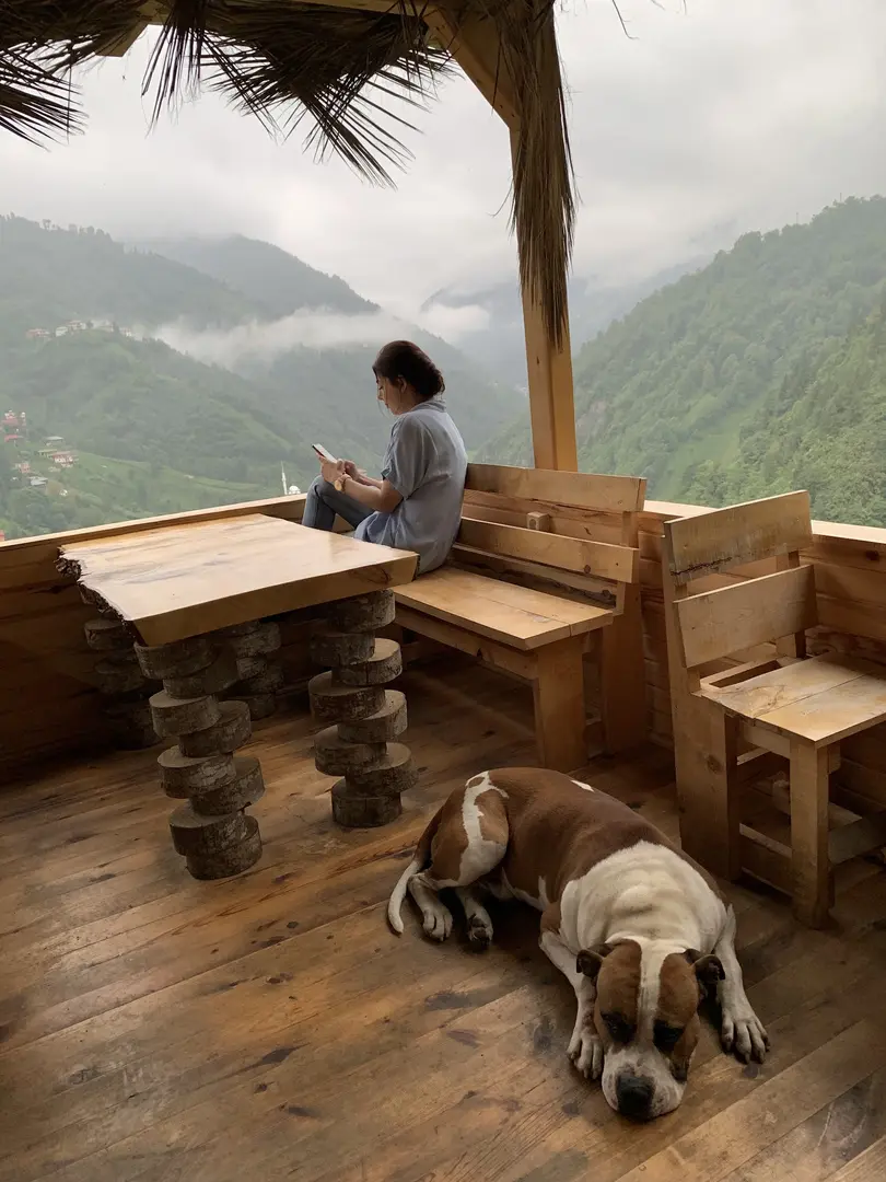 Teras Bungalov — Rize — küçük resim 6