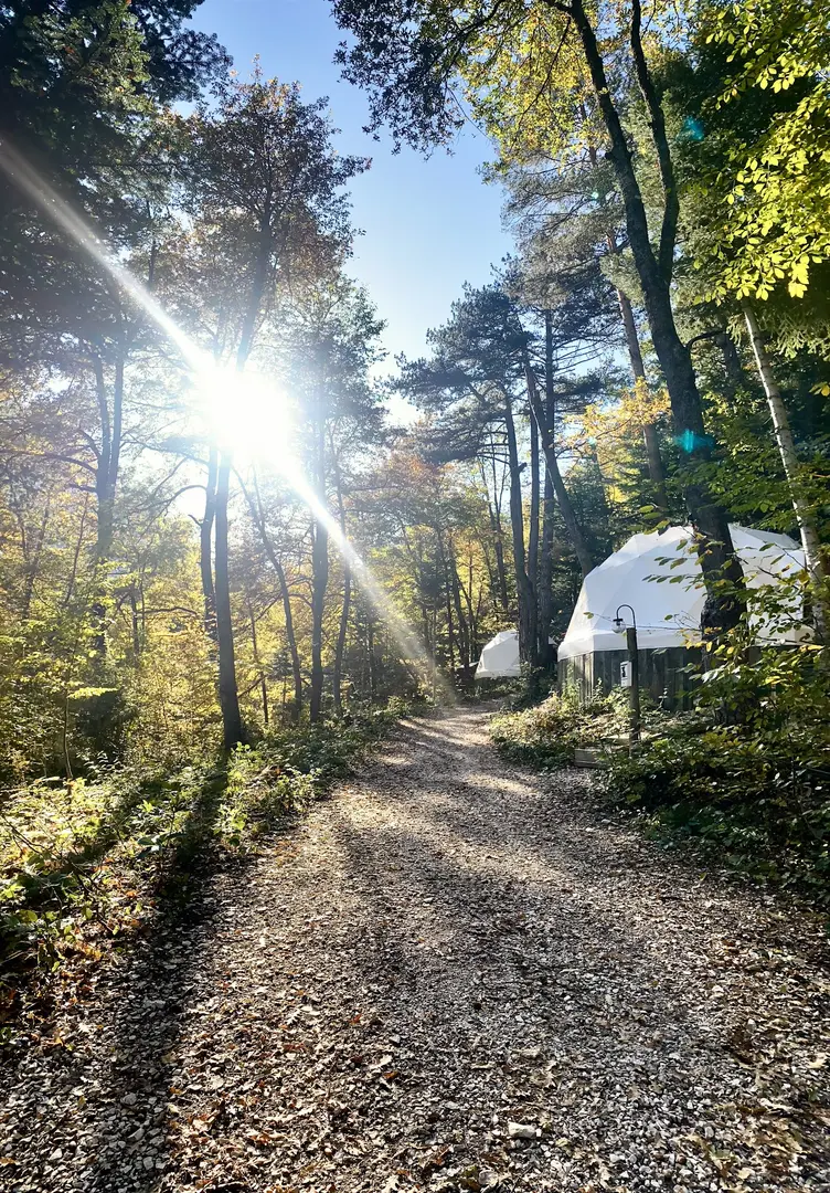 Ala Glamping — Bolu — küçük resim 6