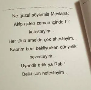 Mikado Giyim Av Kamp Outdoor — Bingöl — küçük resim 8