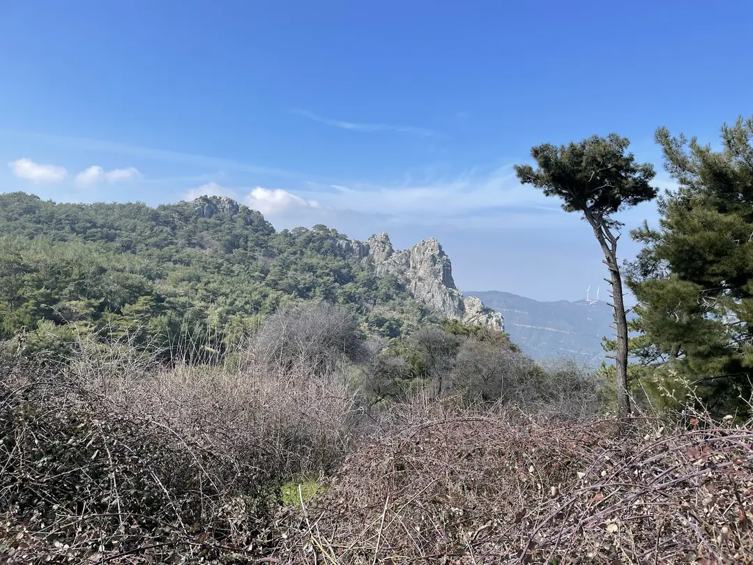 Karagöl Orman Kampı — İzmir — küçük resim 3