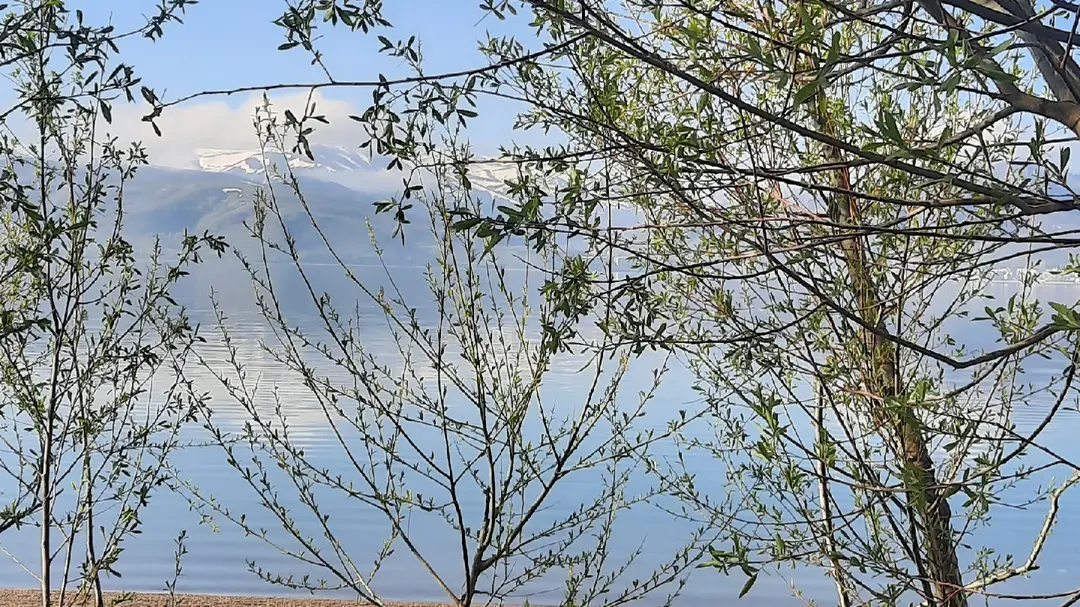 Aile Çay Bahçesi,Piknik Alanı ve Kamp Alanı