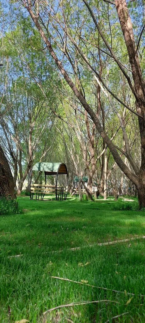 Aile Çay Bahçesi,Piknik Alanı ve Kamp Alanı — Bitlis — küçük resim 9