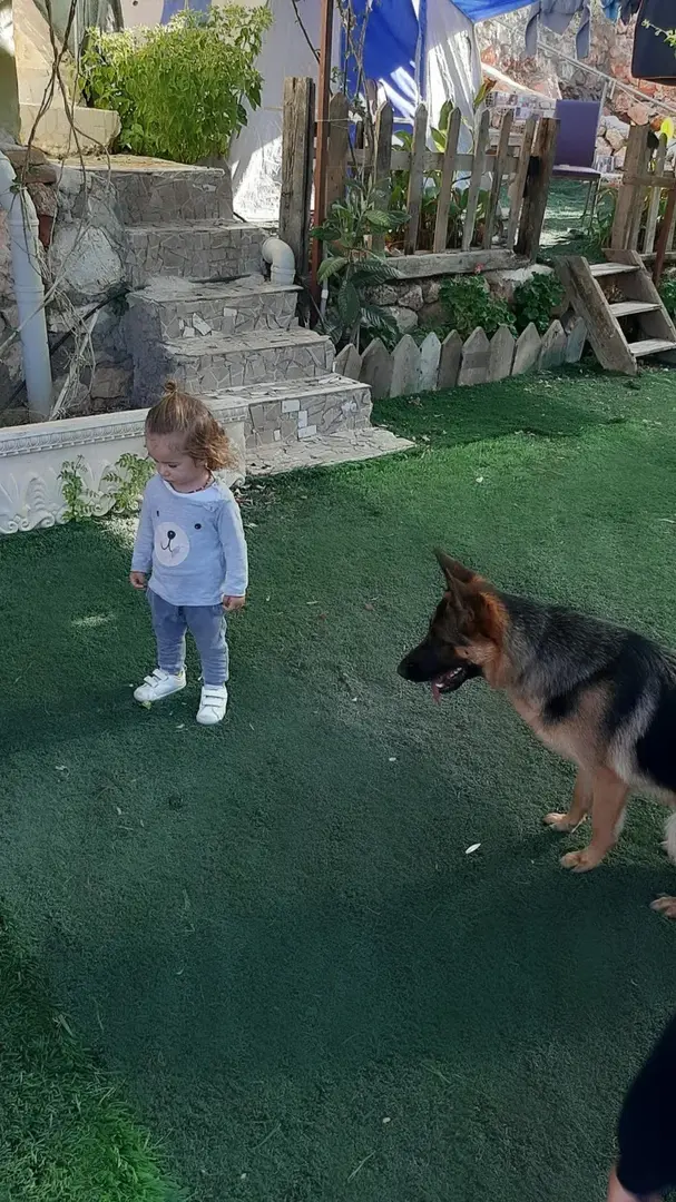 Gizli Vadi Kamp & Pansiyon — Antalya — küçük resim 4