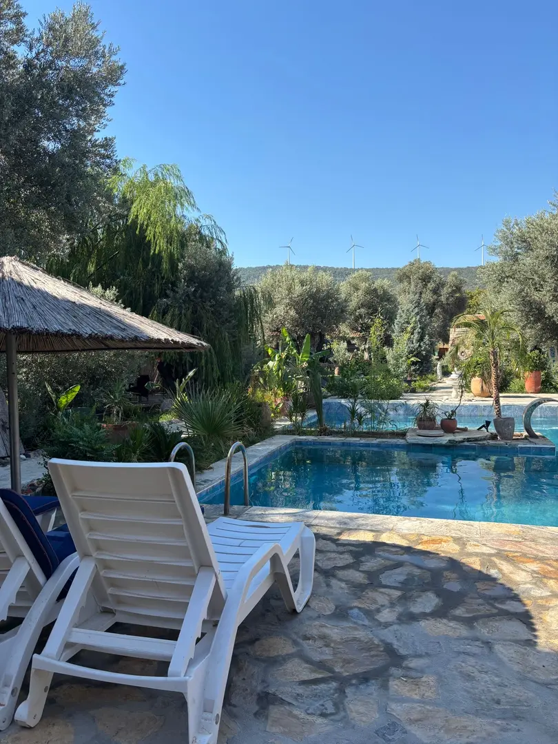 Serender Bungalov Otel — İzmir — küçük resim 2
