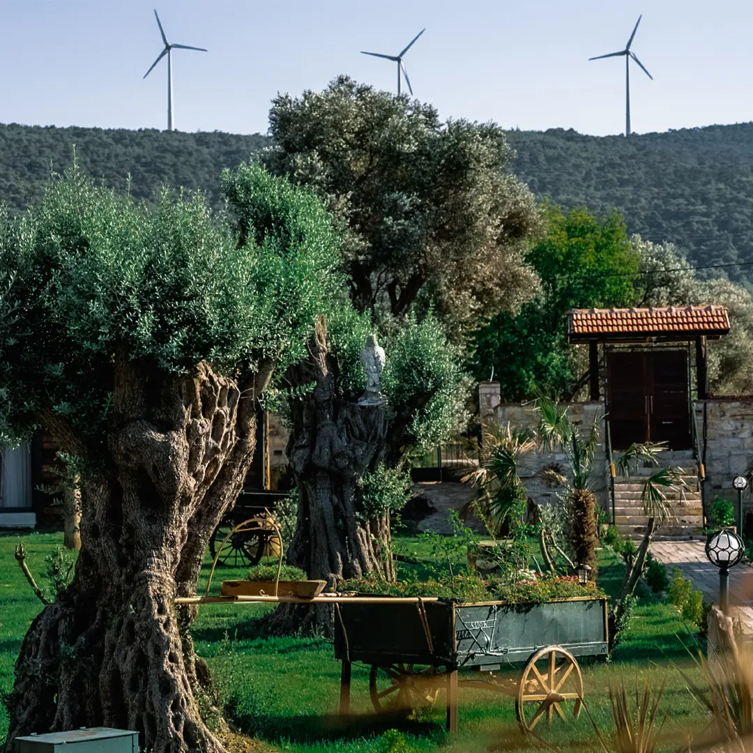 Serender Bungalov Otel — İzmir — küçük resim 5