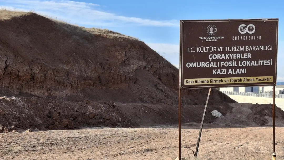 Milli Egemenlik Memorial Forest — Çankırı — küçük resim 5