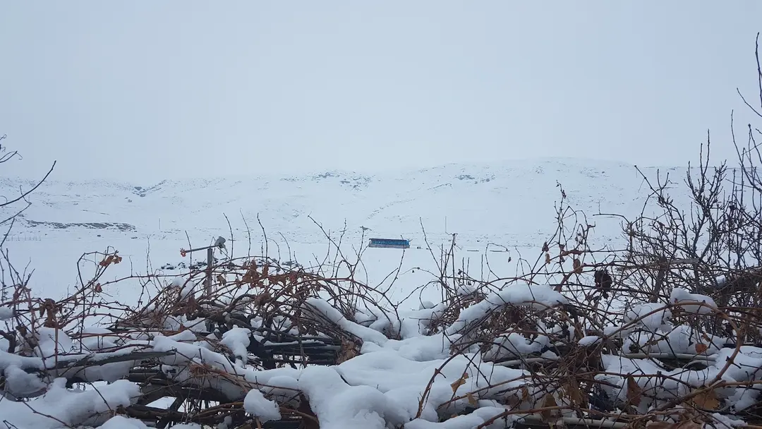 Milli Egemenlik Memorial Forest — Çankırı — küçük resim 4