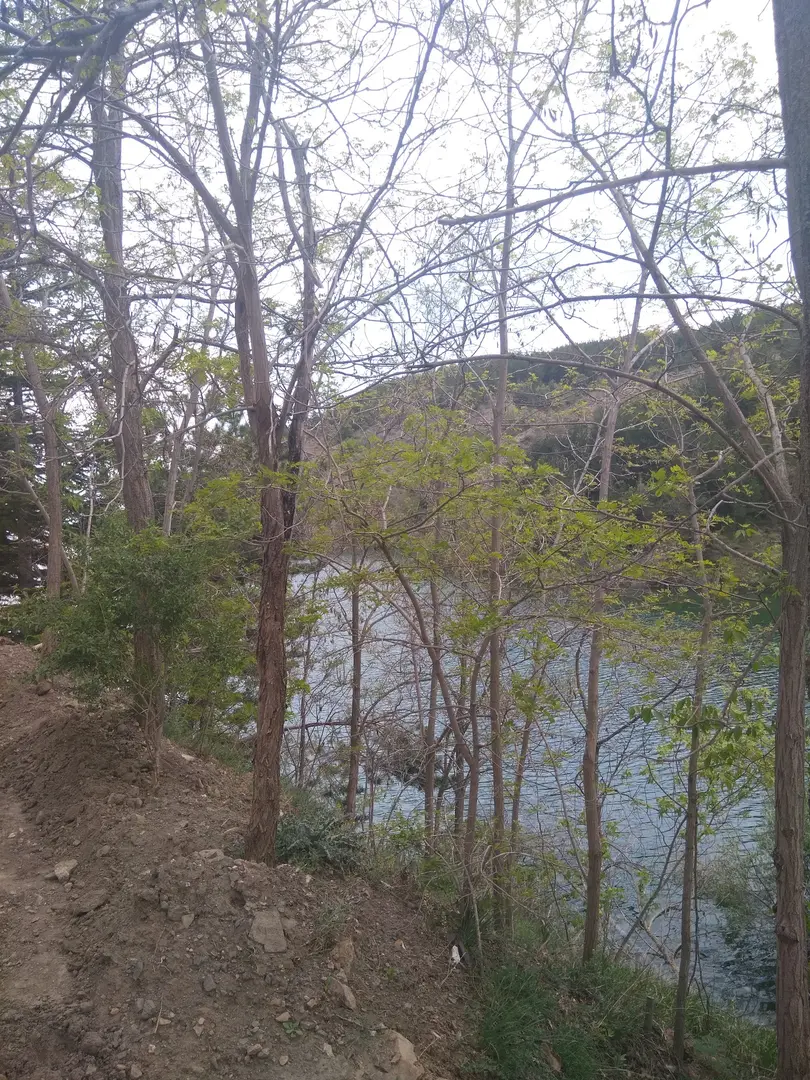 Yapraklı Municipality Green Pond Facilities Recreation Area — Çankırı — küçük resim 8