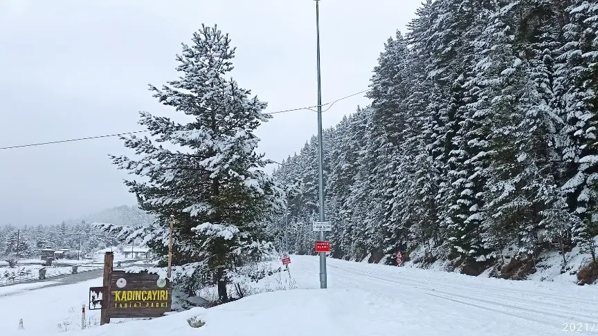 Ilgaz