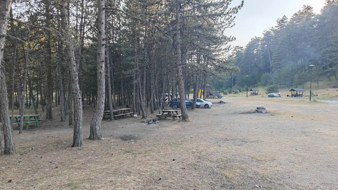 Kadınçayırı Tabiat Parkı — Çankırı — küçük resim 4