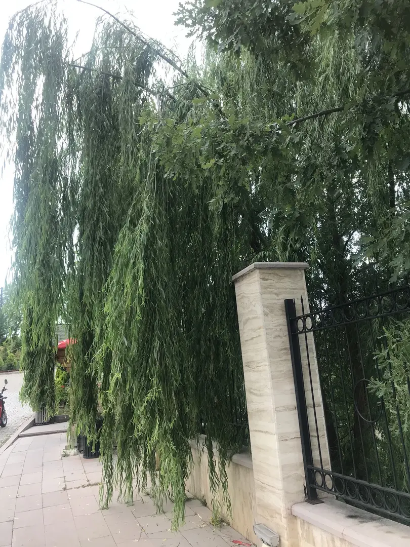 Necmettin Erbakan Park — Çankırı — küçük resim 9