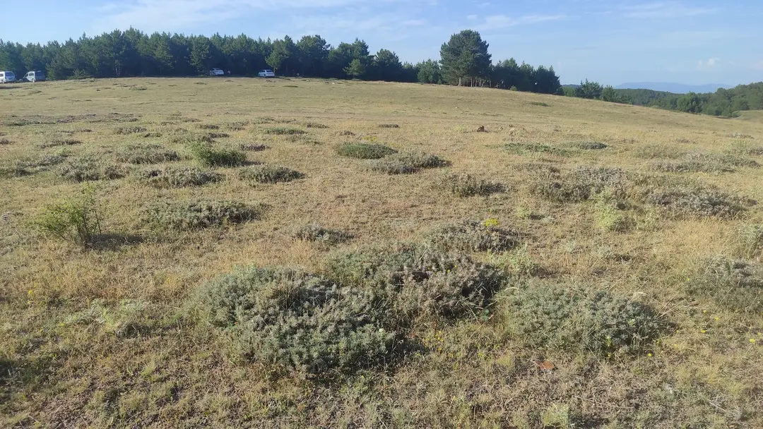 Çalyayla Village Recreation Area — Çorum — küçük resim 2