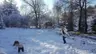 Çorum Kent Ormanı
