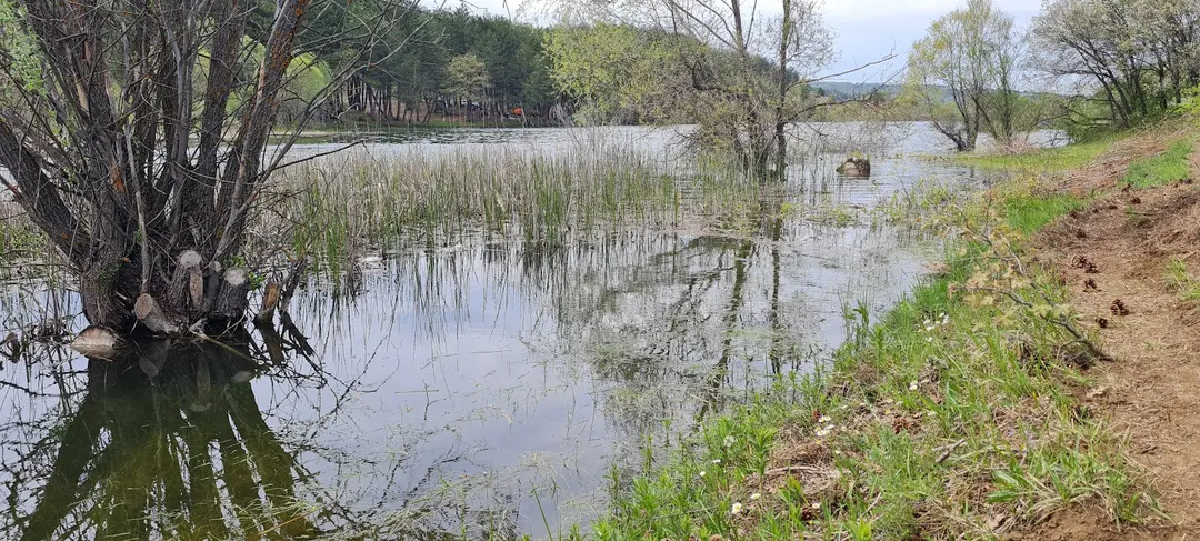Evciyenikıslı Lake — Çorum — küçük resim 9