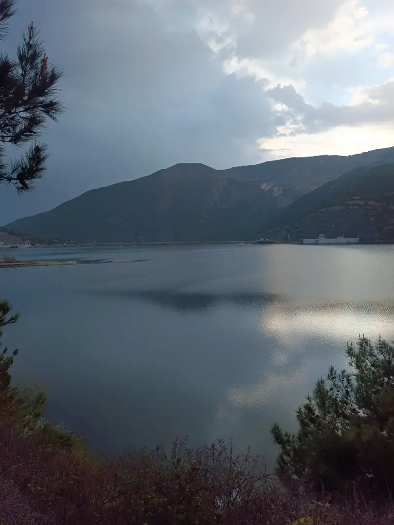Merkez