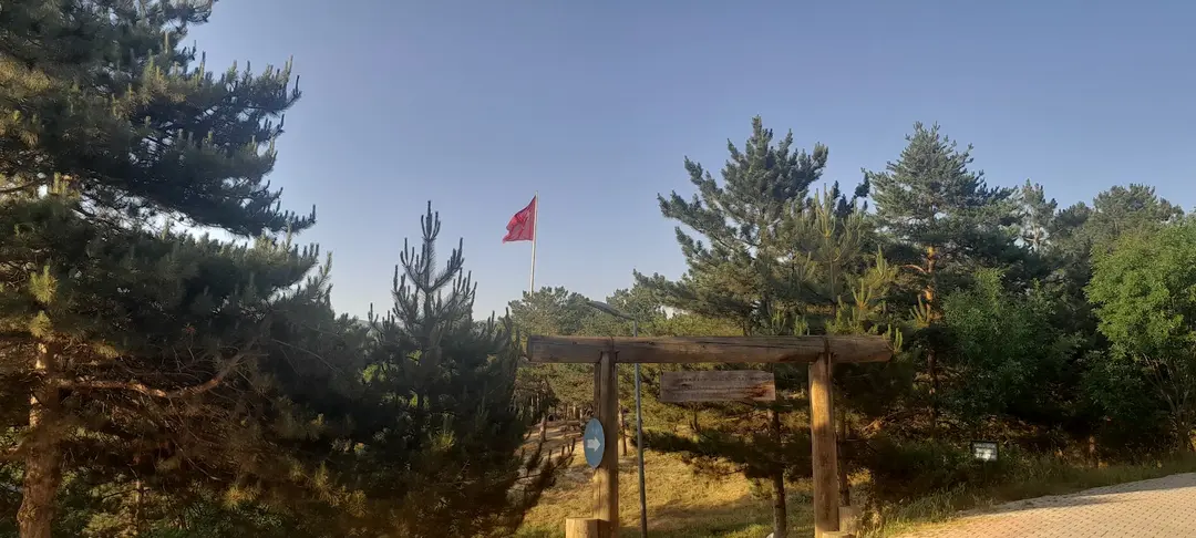 Bahabey Çamlığı — Çorum — küçük resim 4