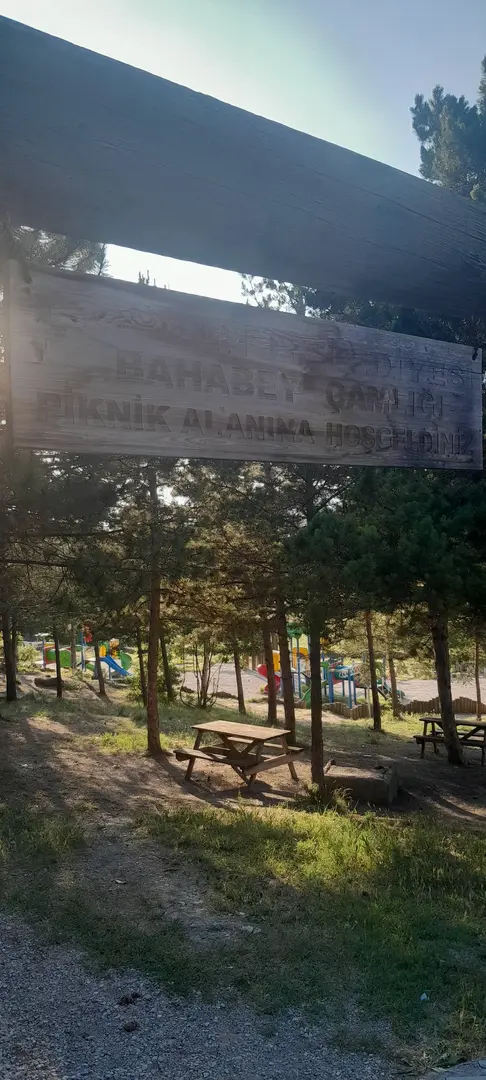 Bahabey Çamlığı — Çorum — küçük resim 7