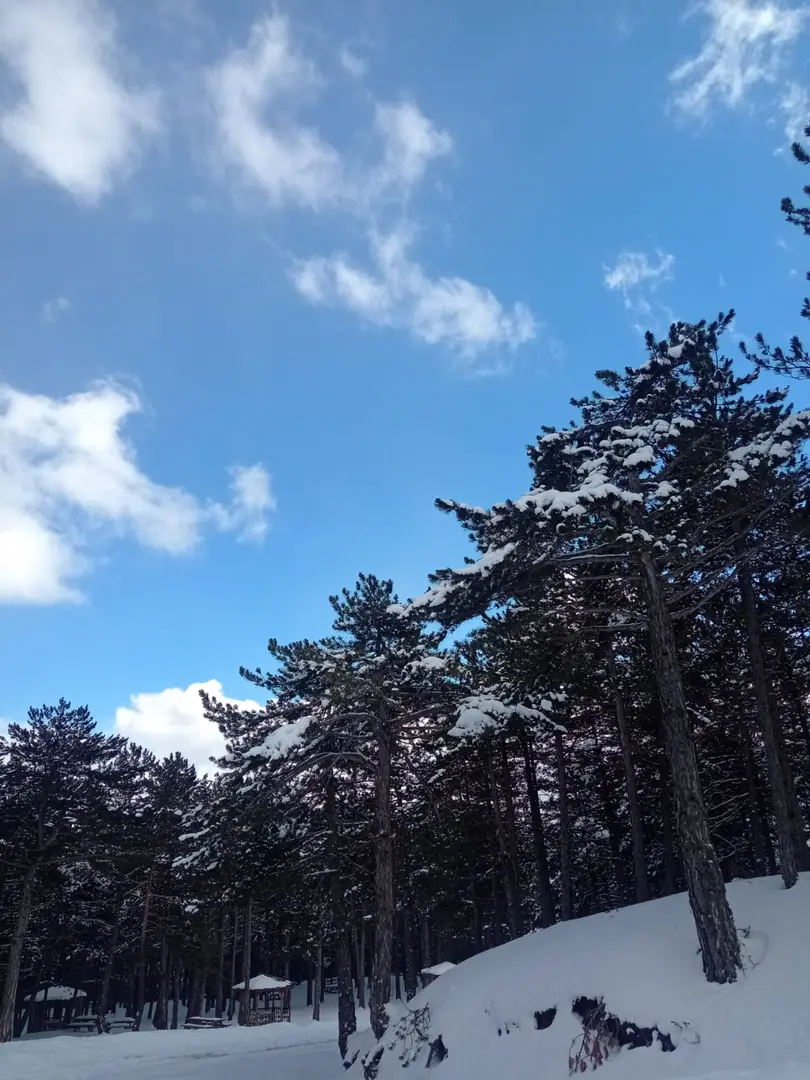 Çatak Nature Park — Çorum — küçük resim 2