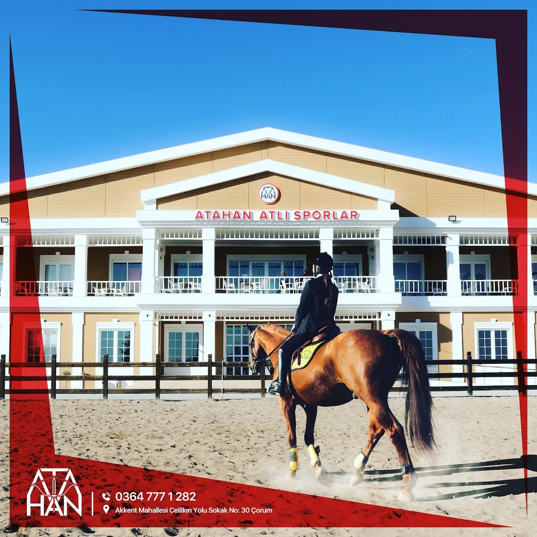Atahan Atlı Orman Farm ( ORMAN TURU-ATLI SAFARI ) — Çorum — küçük resim 6