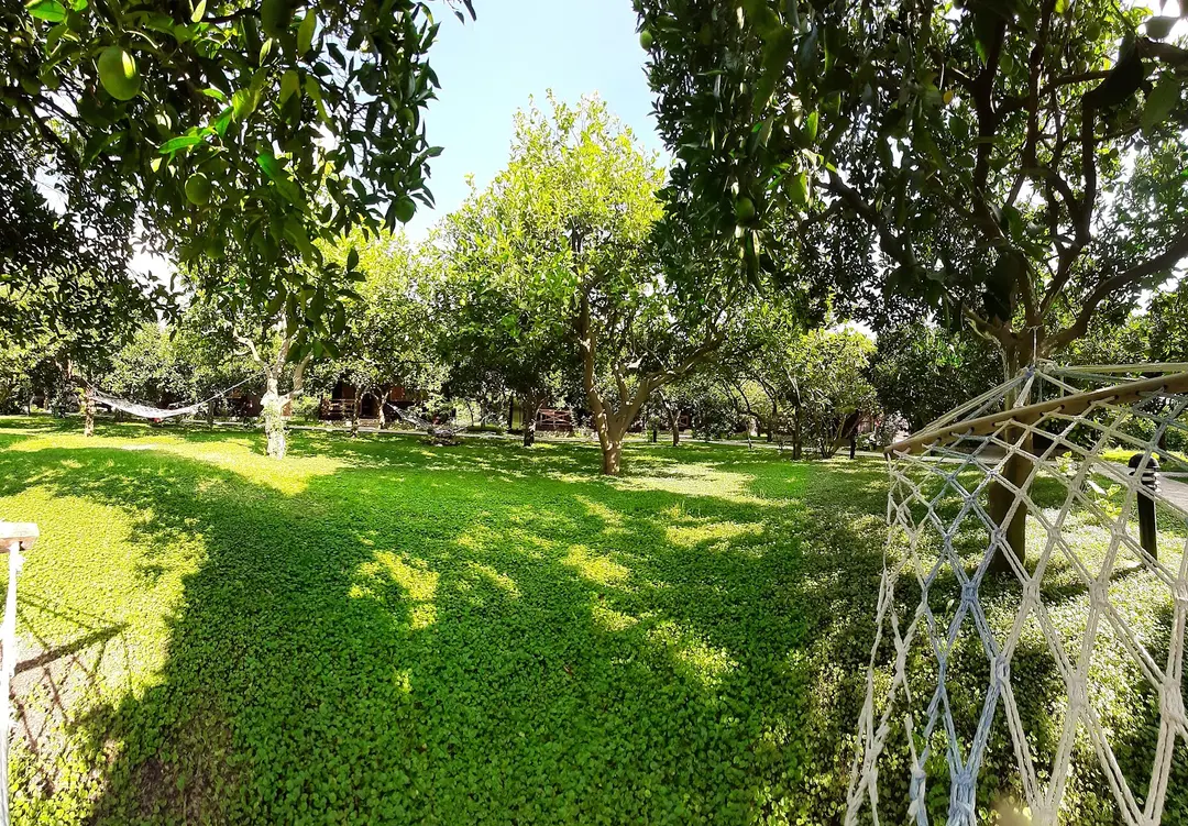 mercan bungalow — Antalya — küçük resim 7