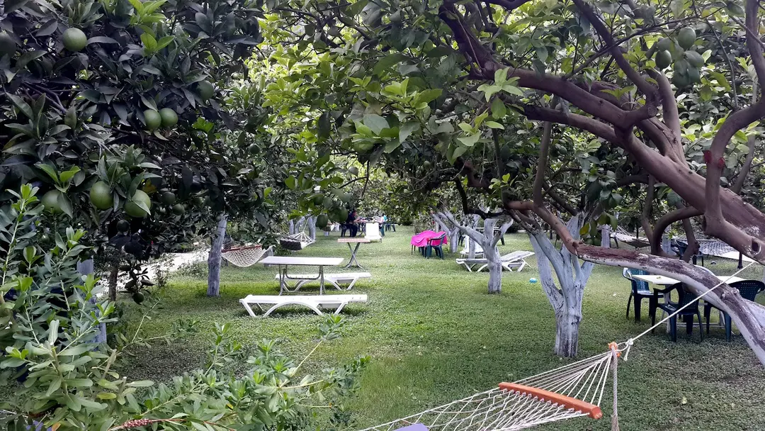 mercan bungalow — Antalya — küçük resim 5