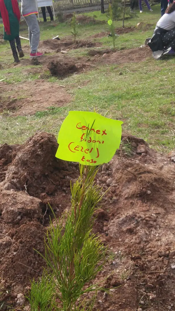 Zerya Urban Forest — Diyarbakır — küçük resim 2