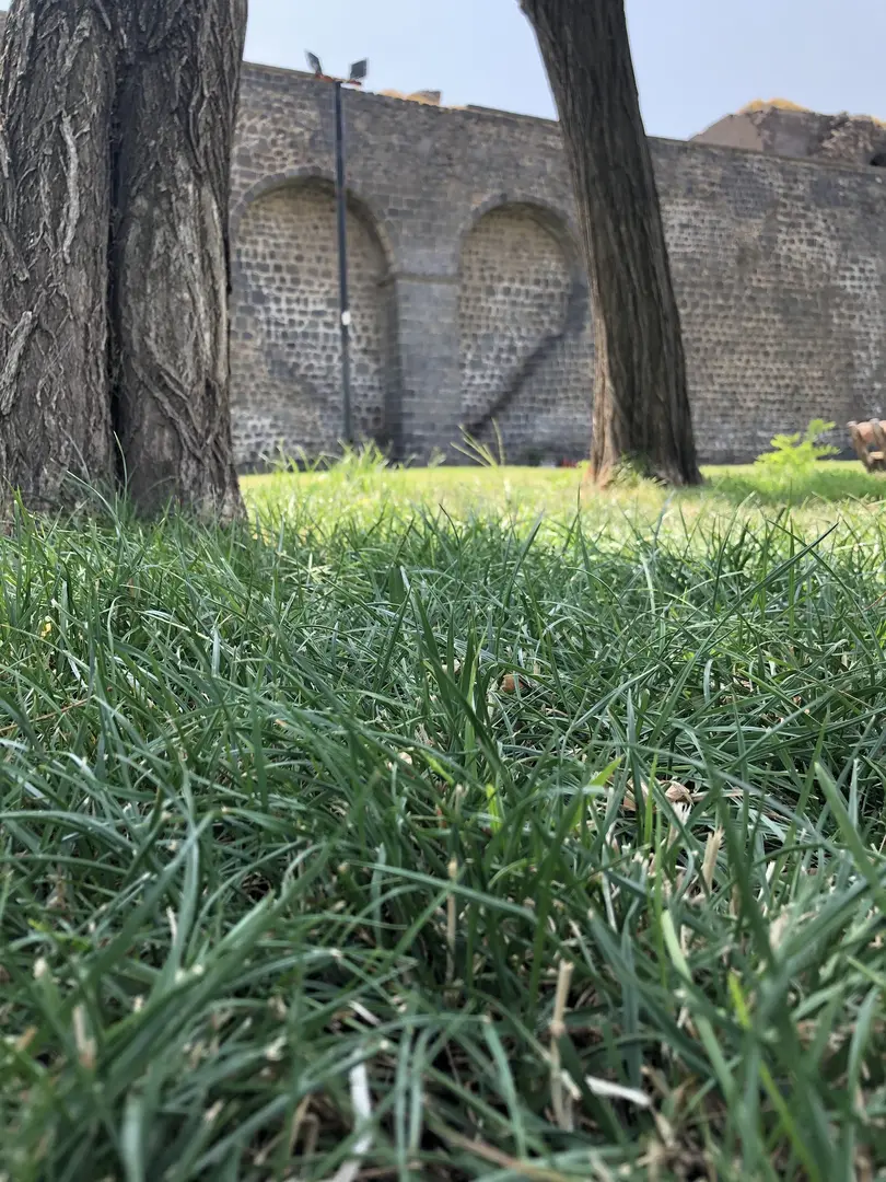 Angora Evleri — Diyarbakır — küçük resim 3