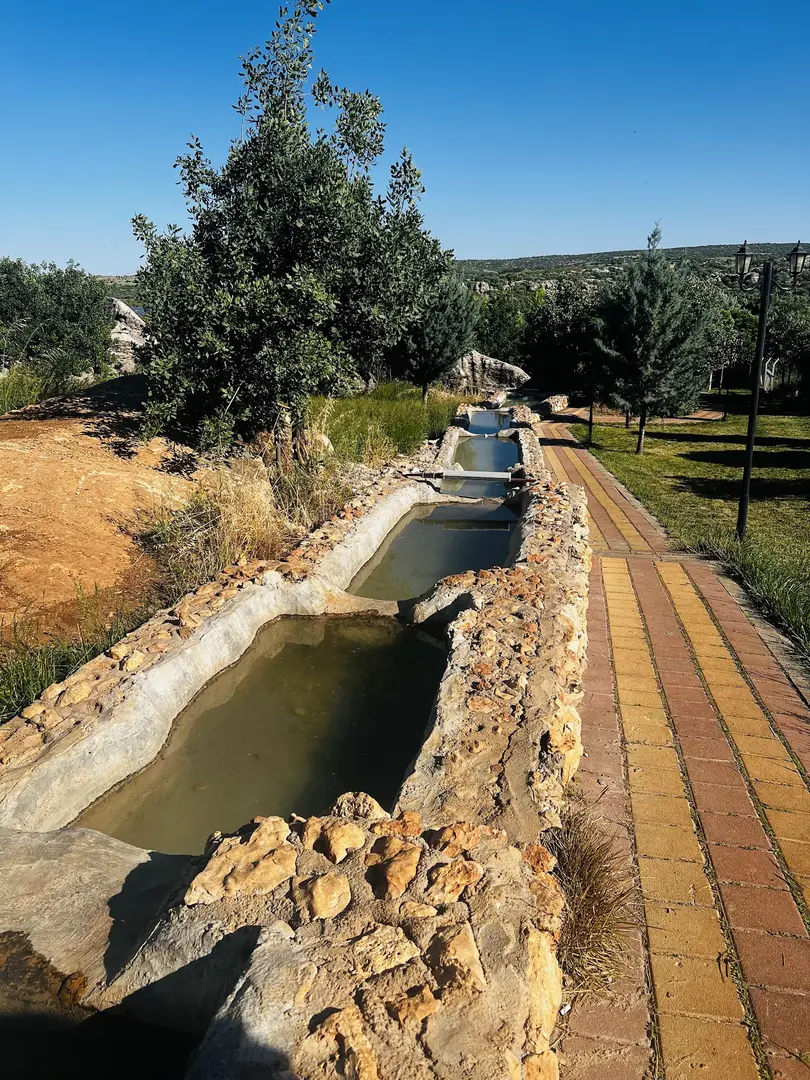 Lyra Garden — Diyarbakır — küçük resim 4